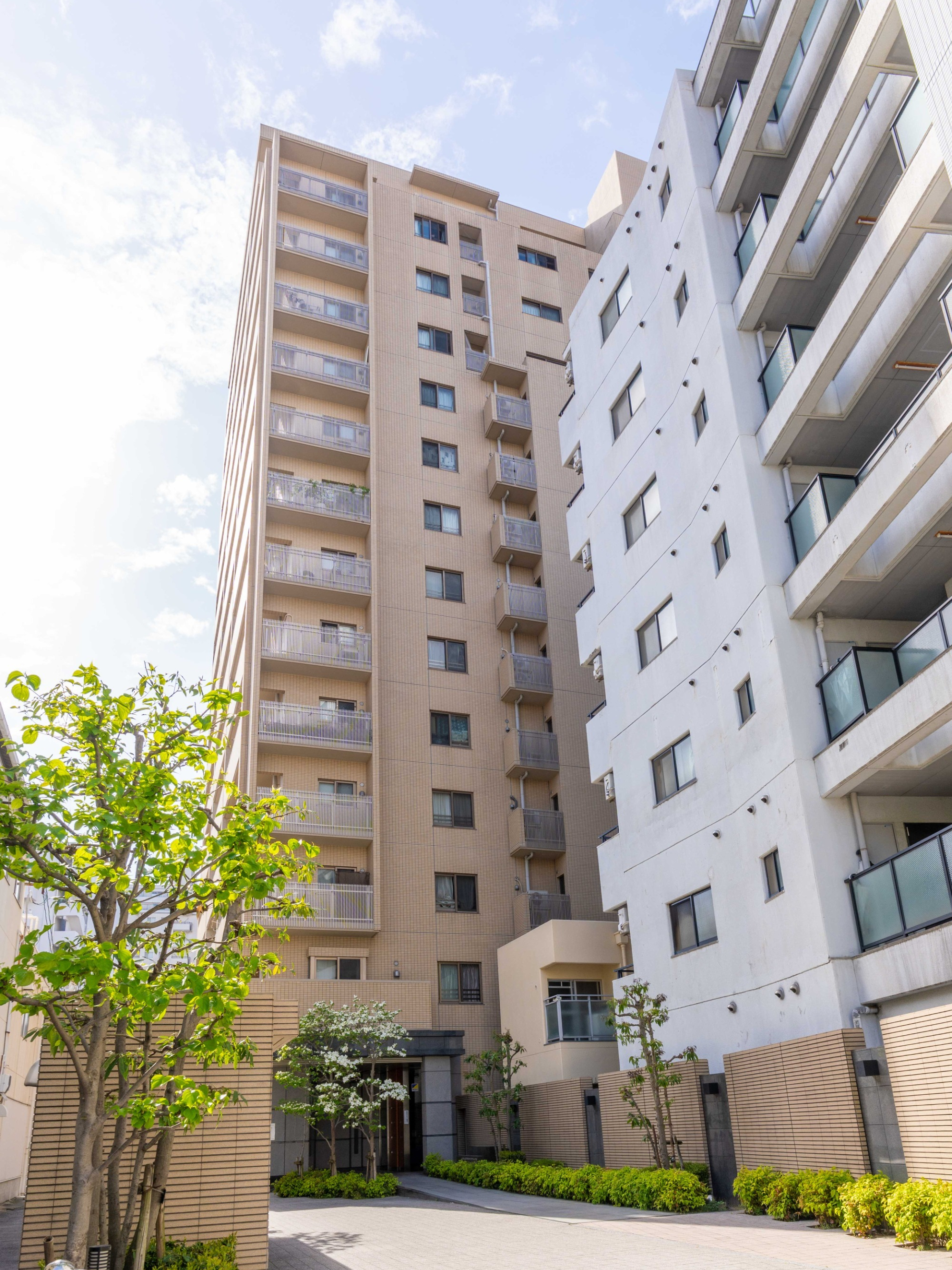写真：マンション外観